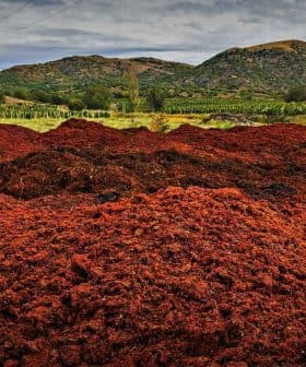 Large piles of olive pomace in a rural agricultural landscape with hills in the background. - Olive Oil Times