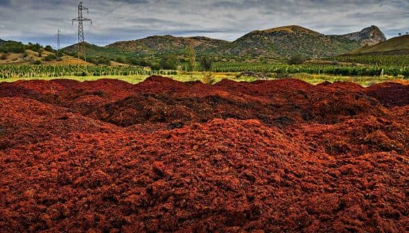 Large piles of olive pomace in a rural agricultural landscape with hills in the background. - Olive Oil Times