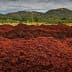 Large piles of olive pomace in a rural agricultural landscape with hills in the background. - Olive Oil Times