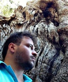A man standing beside a large, gnarled olive tree with a textured trunk and foliage above. - Olive Oil Times