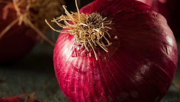 Close-up of red onions with visible roots and skin texture on a surface. - Olive Oil Times