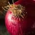 Close-up of red onions with visible roots and skin texture on a surface. - Olive Oil Times