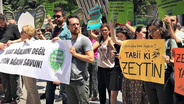 Group of protesters holding various signs during a rally advocating for olive oil and environmental issues. - Olive Oil Times