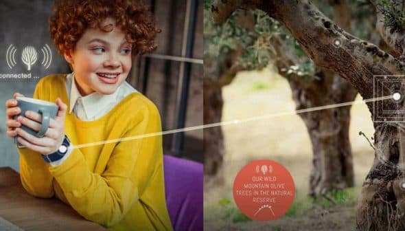 A person with curly hair holding a cup while an olive tree illustration is displayed beside them. - Olive Oil Times