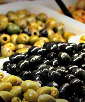 Assorted olives in various colors and sizes displayed in baskets with serving utensils. - Olive Oil Times