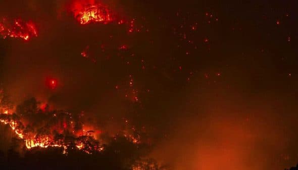 A forest fire burning at night with flames and smoke visible in the trees. - Olive Oil Times
