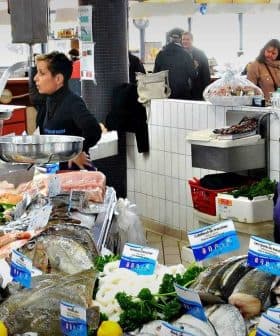A seafood market featuring various types of fresh fish and seafood on display at vendor stalls. - Olive Oil Times