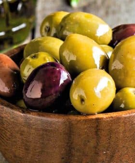 A wooden bowl filled with various types of olives including green and black varieties. - Olive Oil Times