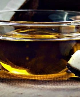 Glass bowl containing coconut oil next to a piece of coconut shell and flesh on a wooden surface. - Olive Oil Times