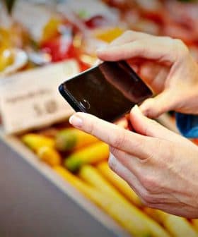 Individual holding a smartphone while photographing colorful vegetables at a market stall. - Olive Oil Times
