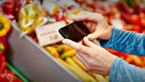 Individual holding a smartphone while photographing colorful vegetables at a market stall. - Olive Oil Times