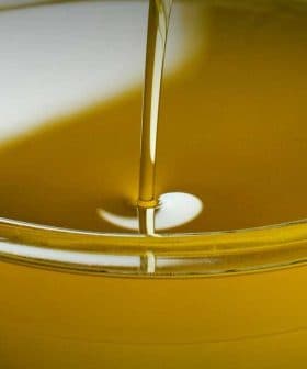 A clear bowl filled with olive oil, with olives placed beside it on a wooden surface. - Olive Oil Times