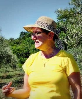 Woman wearing a yellow shirt and hat standing among olive trees in an olive grove. - Olive Oil Times