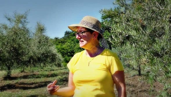 Woman wearing a yellow shirt and hat standing among olive trees in an olive grove. - Olive Oil Times