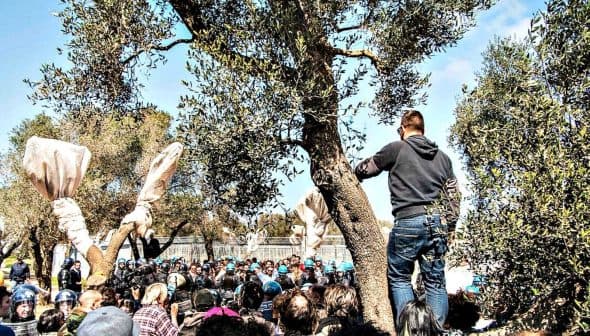 A person standing on an olive tree addressing a crowd during a demonstration. - Olive Oil Times