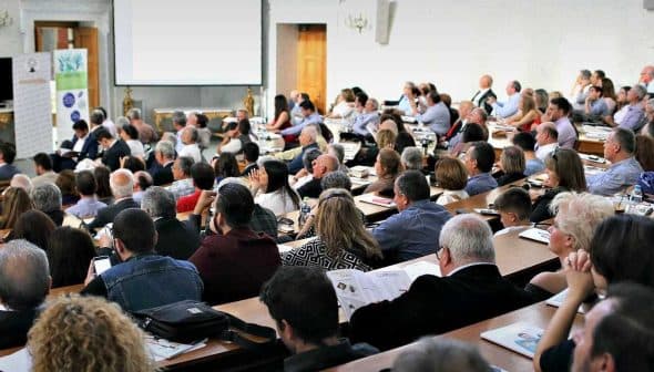 A large audience seated in a lecture hall during a conference presentation. - Olive Oil Times
