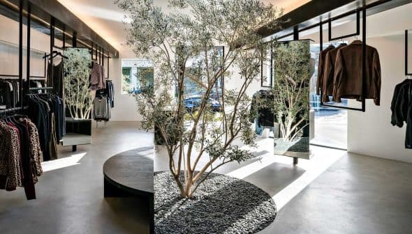 Interior view of a clothing store featuring an olive tree and clothing displays. - Olive Oil Times
