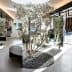 Interior view of a clothing store featuring an olive tree and clothing displays. - Olive Oil Times