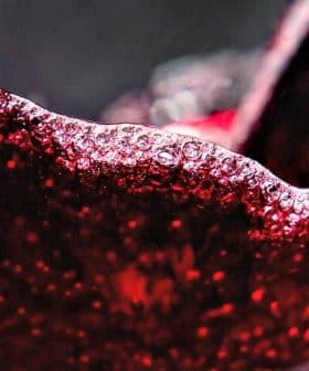 Close-up of red wine being poured into a glass, showcasing bubbles and liquid movement. - Olive Oil Times