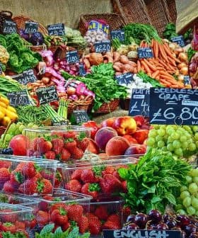 A vibrant assortment of fresh fruits and vegetables arranged at a market stall with price tags. - Olive Oil Times