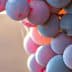Close-up image of a cluster of grapes with varying shades of blue and purple. - Olive Oil Times