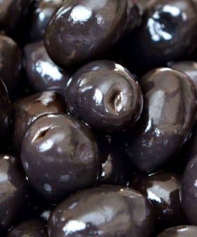 Close-up image of shiny black olives arranged closely together. - Olive Oil Times