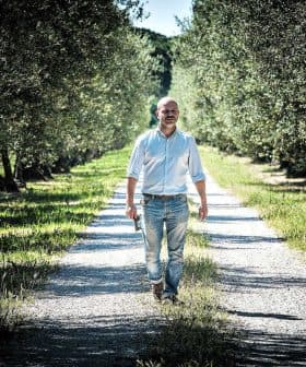 A man walking along a gravel path in an olive grove with trees on either side. - Olive Oil Times