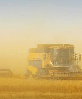 Two combine harvesters working in a field surrounded by dust during harvest season. - Olive Oil Times