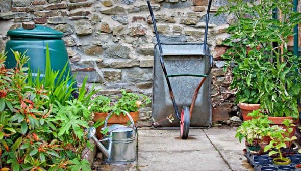 A metal wheelbarrow positioned on a stone pathway surrounded by various potted plants and a watering can. - Olive Oil Times