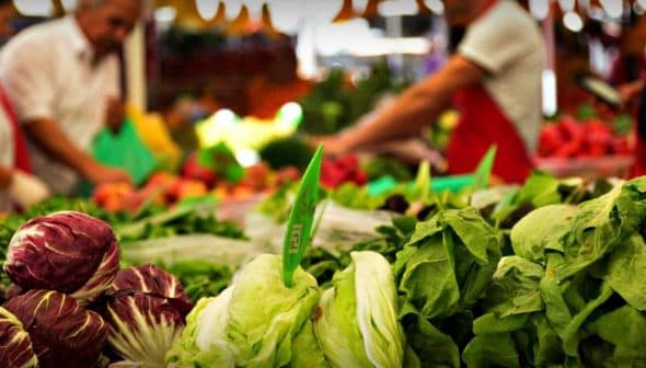 Variety of fresh vegetables including lettuce and radicchio displayed at a market stall. - Olive Oil Times