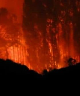 A forest fire burning in the darkness, with flames and smoke visible among trees. - Olive Oil Times