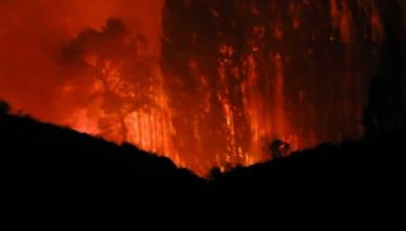 A forest fire burning in the darkness, with flames and smoke visible among trees. - Olive Oil Times