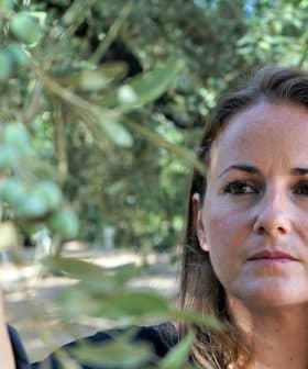 Woman inspecting an olive branch with green olives in a natural setting. - Olive Oil Times