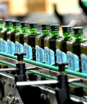 Row of green glass bottles filled with olive oil on a production line in a factory. - Olive Oil Times