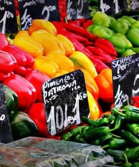 A variety of fresh vegetables including peppers, tomatoes, and cucumbers arranged at a market stall. - Olive Oil Times