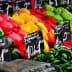 A variety of fresh vegetables including peppers, tomatoes, and cucumbers arranged at a market stall. - Olive Oil Times