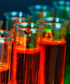 Row of test tubes filled with various colored liquids in a laboratory setting. - Olive Oil Times