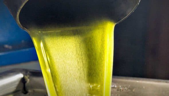 Stream of green olive oil being poured from a metal container into a stainless steel surface. - Olive Oil Times