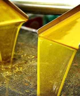 Golden olive oil flowing from two spouts into a collection tray during the extraction process. - Olive Oil Times