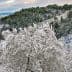 A winter landscape featuring snow-covered trees in a forested area with hills in the background. - Olive Oil Times