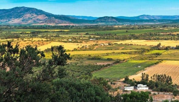 Expansive agricultural landscape featuring fields and mountains in the background. - Olive Oil Times
