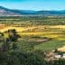 Expansive agricultural landscape featuring fields and mountains in the background. - Olive Oil Times