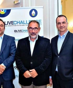 A group of seven individuals posing for a photo at an olive oil event with a banner in the background. - Olive Oil Times