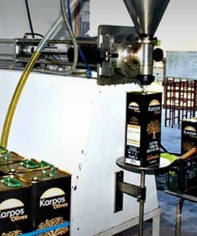 Olive oil production setup with boxes of Karpos olives and filling machine in a processing area. - Olive Oil Times