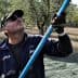 Man using a long pole to harvest olives from a tree in an olive grove. - Olive Oil Times