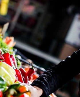 Woman with a scarf selecting red and green peppers at a market stand filled with vegetables. - Olive Oil Times