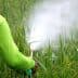 Individual wearing a green shirt and backpack sprayer applying pesticide in a rice field. - Olive Oil Times