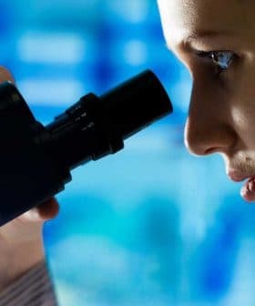 A female scientist examining a sample through a microscope in a laboratory setting. - Olive Oil Times
