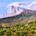 Olive trees in a landscape with mountains and clouds in the background. - Olive Oil Times