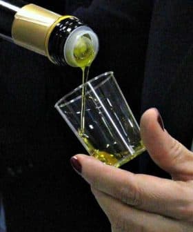 A person pouring olive oil from a bottle into a small glass cup during a tasting event. - Olive Oil Times